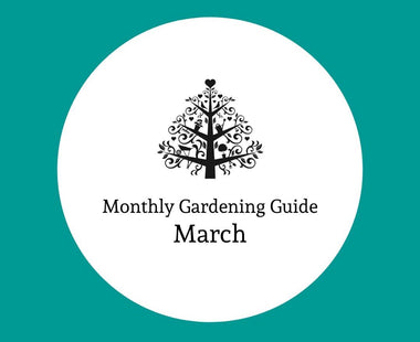 The Monthly Gardening Guide: March