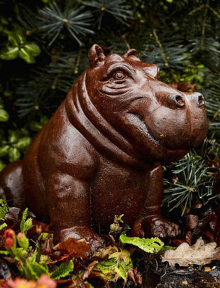 Baby Hippo made from Cast Iron sitting amoungst the conifers in the garden  2x