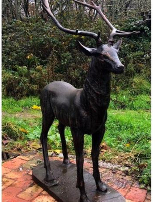 Bronze Majestic Stag Statue (Facing Left, Right or Forward) 2x