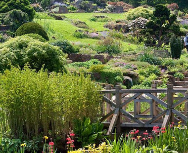Our Top 10 Conifer Gardens Of The World