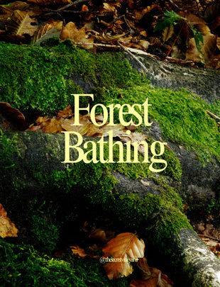 Spring Equinox Forest Bathing Workshop Hannah Armstrong , March 20th 10:00am- 12:45pm