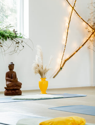 Power Pilates with Tansy, Sunday December 21st 10:00am-11:00am & Sunday January 4th  10:00am-11:00am 2x