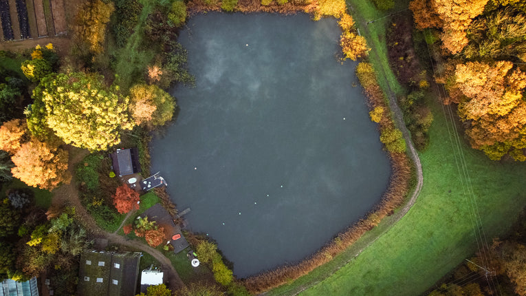 Spring Wild Swim- Sunday April 26th, 11:30am- 1:00pm