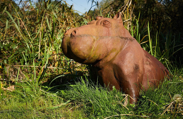 Baby Hippo made from Cast Iron sitting amoungst the reeds by the lake