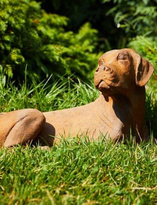 Lying Labrador Statue 2x