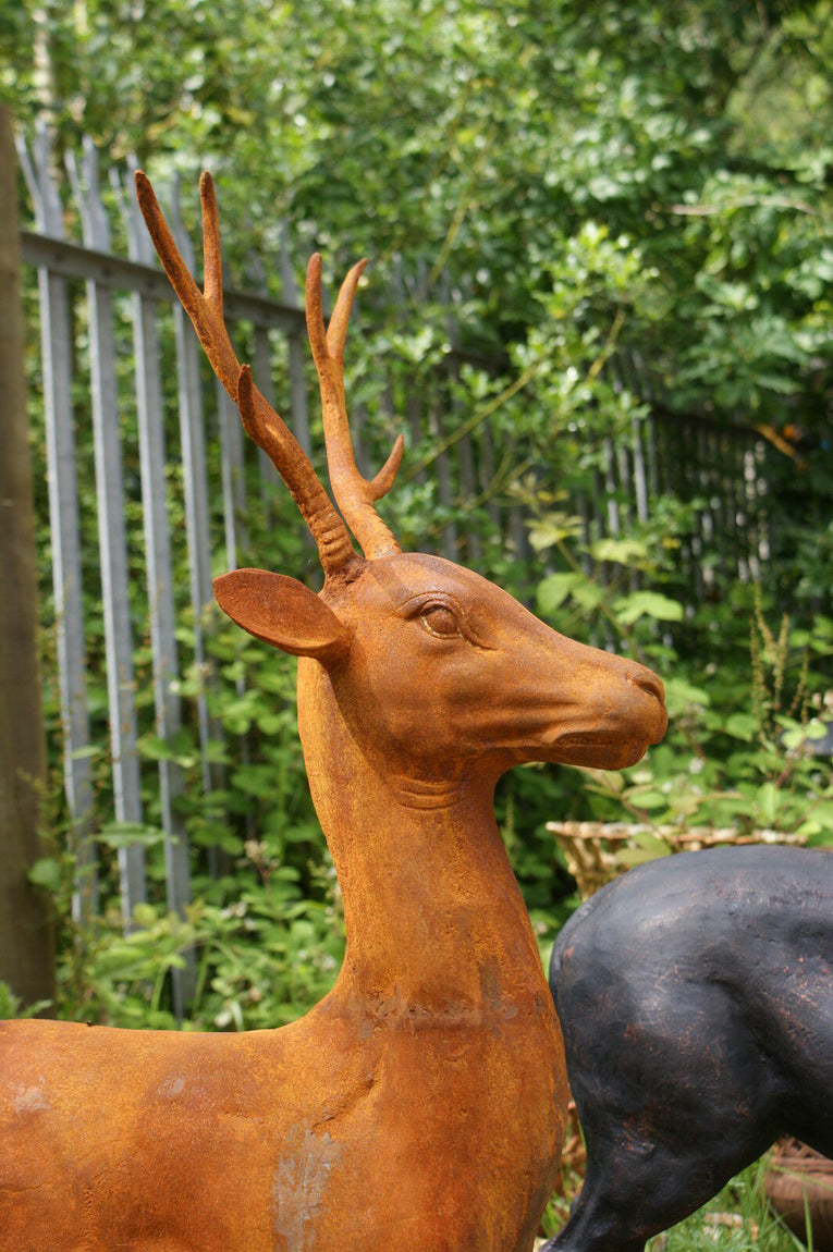 Cast Iron Young Buck Statue on Plinth